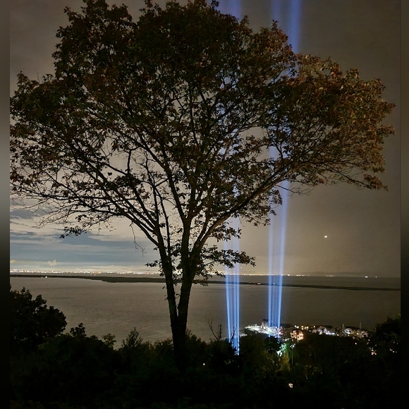 A Welcome to All New Buyers and Grateful Friends - Picture 11 of 17